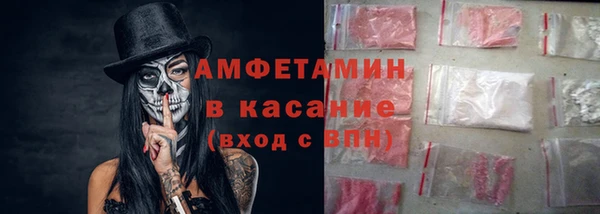 индика Козельск