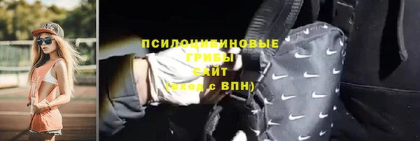 соль курить ск Козловка