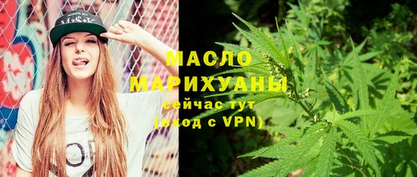 индика Козельск