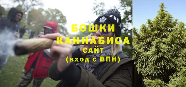индика Козельск