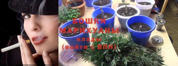 индика Козельск
