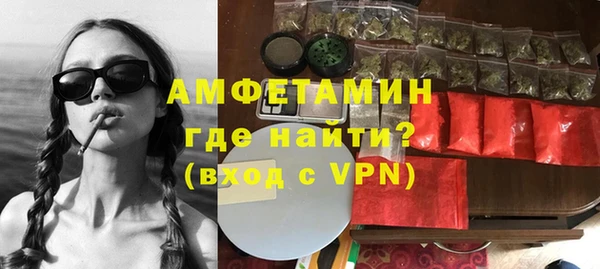 индика Козельск