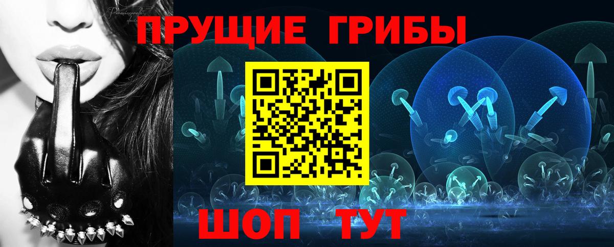 Псилоцибиновые грибы ЛСД  Вход с VPN  Псилоцибиновые грибы ЛСД  хочу наркоту  Новодвинск 