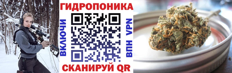 МАРИХУАНА индика  наркошоп  Новодвинск 